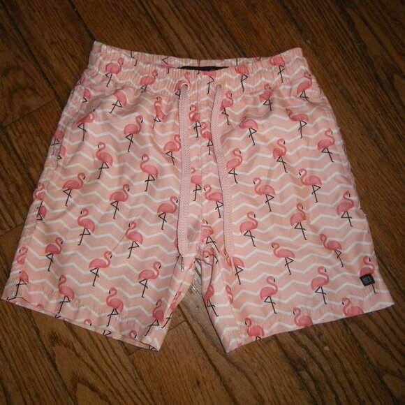 Boy Swimming Trunks w/ Flamingo Graphics - Picture 1 of 2